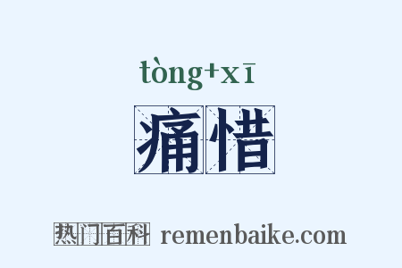 痛惜是什么意思的图片